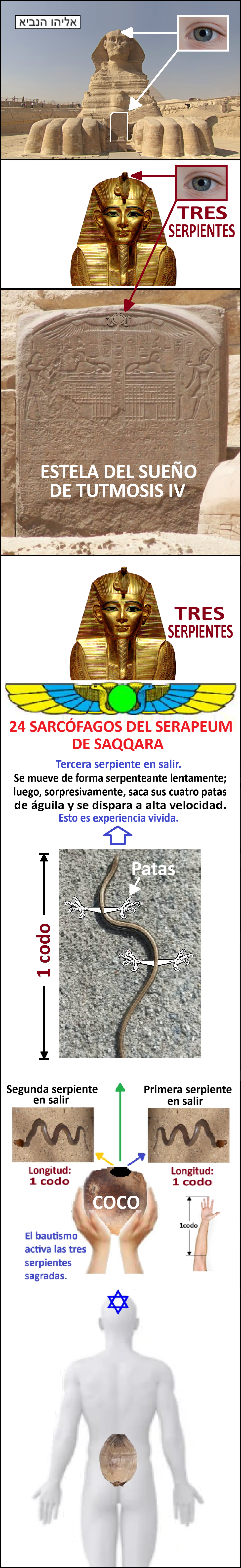 Estas en el home